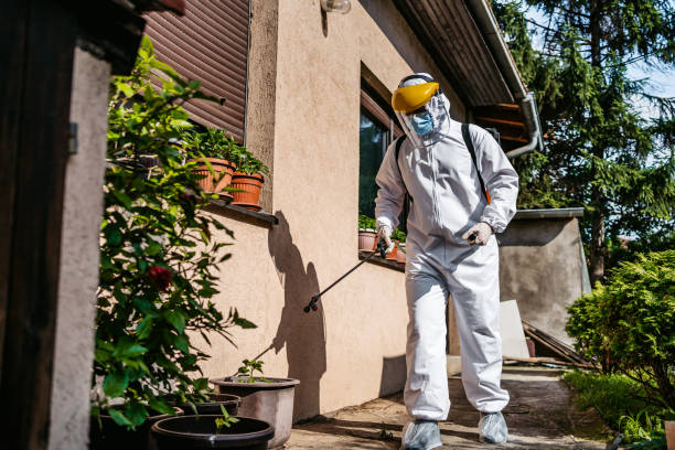 Pest Prevention Services in Mount Pleasant, PA