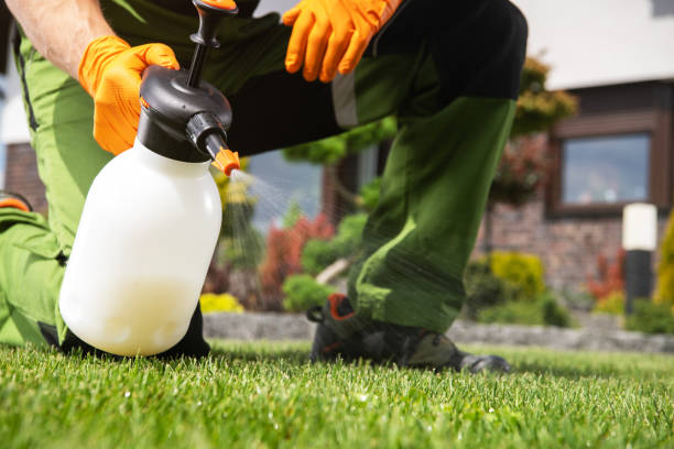 Best Mosquito Control Services  in Mount Pleasant, PA