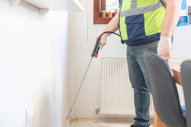 Best Wasp Removal Services  in Mount Pleasant, PA