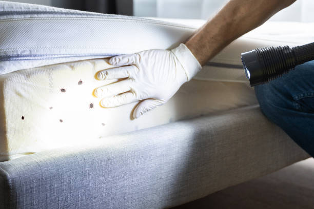 Best Pest Prevention Services  in Mount Pleasant, PA