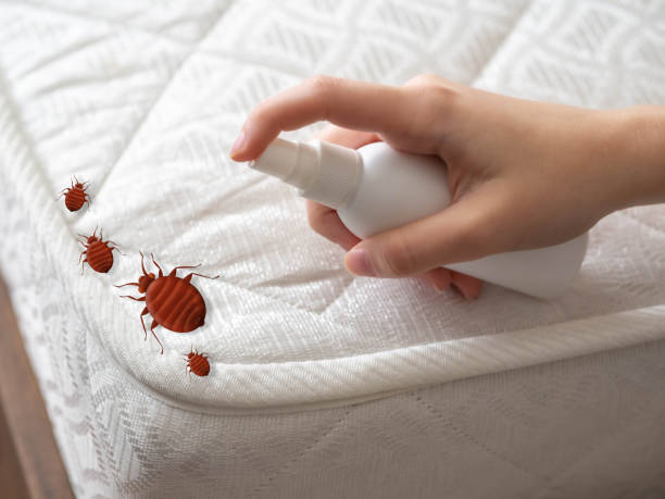Best Cockroach Control Services  in Mount Pleasant, PA